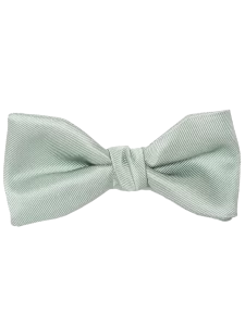 Modern Solid Meadow bow tie